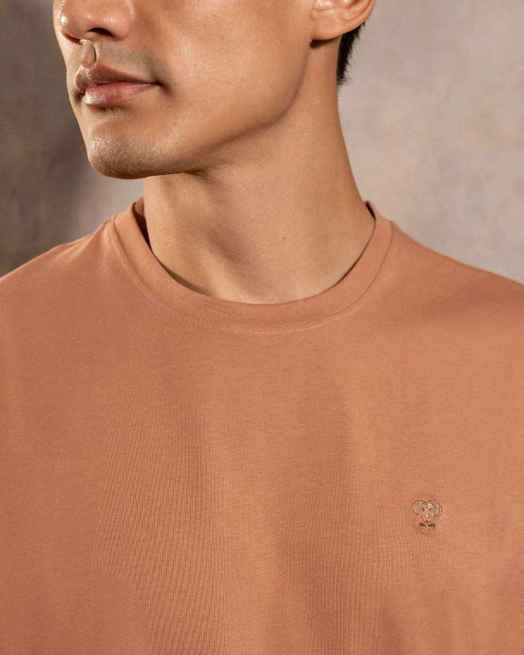 Camiseta antimanchas Mocca Blue hombre marca DANTE tallaje regular fit foto logo