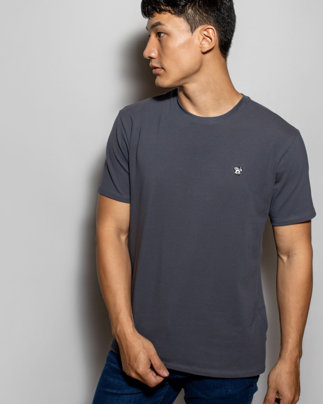 camiseta antimanchas gris para hombre de DANTE