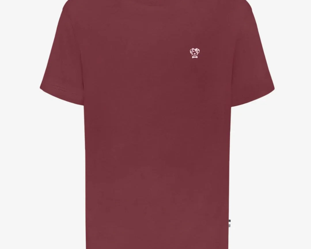 Camiseta Performance Vinotinto antiarrugas para hombre marca DANTE tallaje regular fit foto mockup
