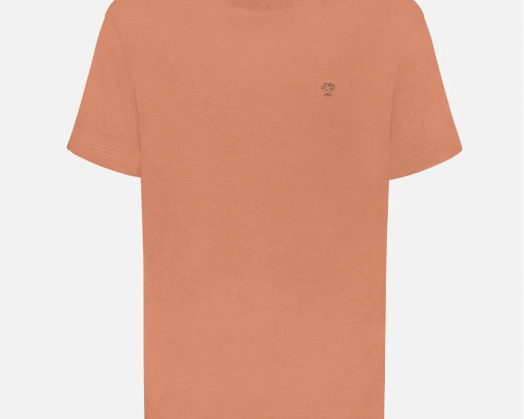 Camiseta antimanchas mocca para hombre marca DANTE tallaje regular fit foto mockup