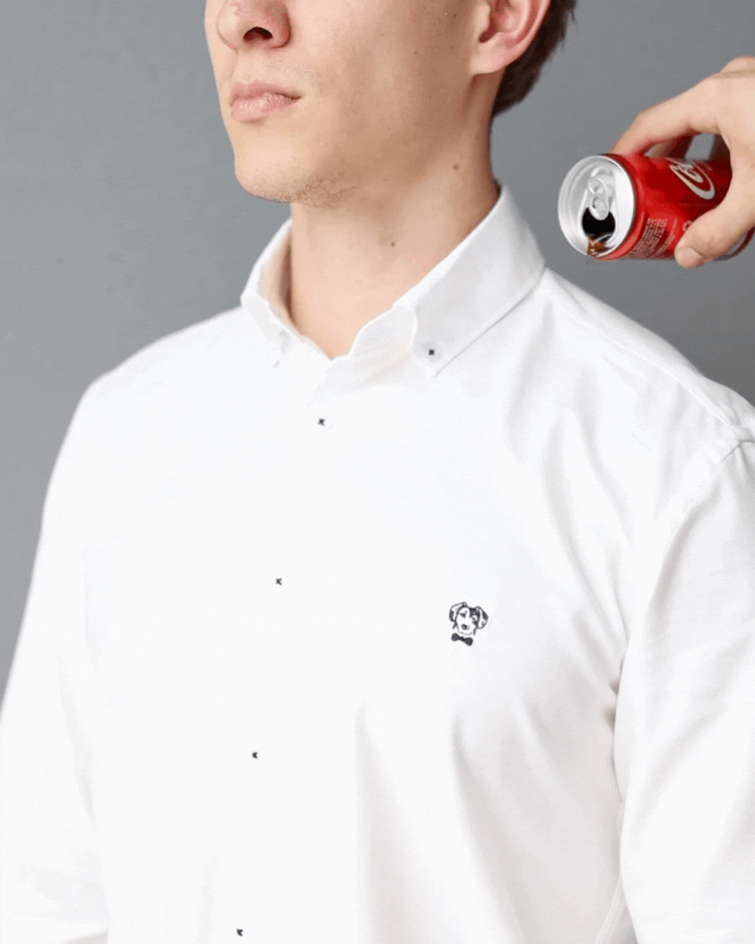 Camisa antimanchas blanca para hombre de DANTE