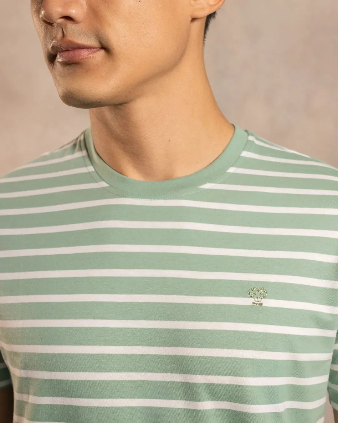 Camiseta Antimanchas Rayas Verde Sage